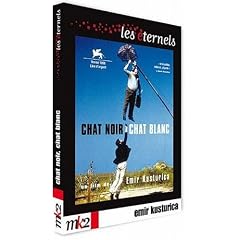 Chat noir chat blanc