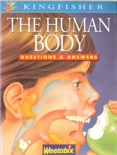 the human body questions  answers about