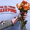 Image of album by For All Those Sleeping