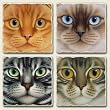 AbsorbaStone Tumbled Tile Assorted Coaster set ~ American short hair Cats~ 4 ...
