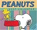Book Peanuts 2007 Mini Day-to-Day Calendar