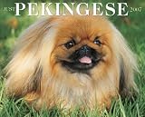 Just Pekingese 2007 Calendar