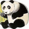 Pocket Panda (Pocket Pals Board Books)