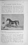 1918 Horse Phenomenon Norfolk Trotting Stallion