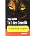 Das kleine 1x1 der Genetik: Die Genetik der Katze leicht gemacht