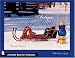 Antique Ice Skates: for the Collector (A Schiffer Book for Collectors)