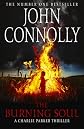 The Burning Soul: A Thriller