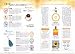voice style vol.1 オーラソーマ心理診断 別画像