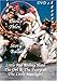 DANCE TALES STORY BALLETS DVD 2 DISC SET RED RIDING HOOD - THE OWL and THE PUSSYCAT - THE MATCHGIRL -