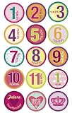 Belly Banter GIRL Onesie Stickers Includes 12 month stickers plus 3 BONUS statement stickers
