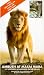 BBC Wildlife Special - Ambush At Masai Mara