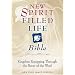 New Spirit-Filled Life Bible, New King James Version: Kingdom Equipping Through the Power of the Word, British Sable, Genuine Leather, Thumb-Indexed