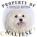   - Maltese Mousepad Dog Mouse Pad 