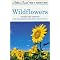 Wild Flowers