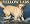 Just Yellow Labs 2007 Calendar
