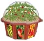 Dunecraft White Box Gardens - Peppers