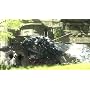 The Last Guardian von Sony Computer Entertainment