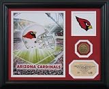 Arizona Cardinals  Team Pride Photo Mint