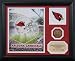 Arizona Cardinals  Team Pride Photo Mint