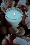 CARRIBEAN SEA Soy Blended Candle, 11 oz Tumbler