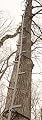 Guide Gear 20' Climbing Stick