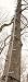 Guide Gear 20' Climbing Stick