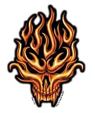 F.T.S. - Flame Skull - Sticker / Decal