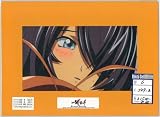 一騎当千DragonDestiny リレイズセル画 第06話C249-B