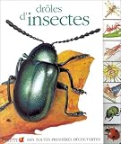 Dr�les d'insectes