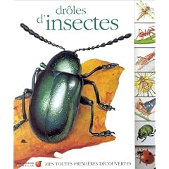 Dr�les d'insectes