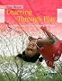Learning Through Play: For Babies, Toddlers and Young Children (Introduction to Child Care)