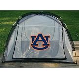 NCAA Food Tent Team: Auburn