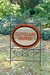 Browns - Yard Sign