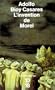 L'invention de Morel