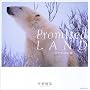 Promised LAND�\�V���N�}�̖�