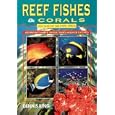 Reef Fishes and Corals: East Coast of Southern Africa by  Dennis King