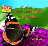 From caterpillar to butterfly