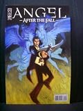 cover of Angel - After The Fall #4 / Cover