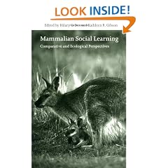 Mammalian Social Learning: Comparative and Ecological Perspectives (Symposia of the Zoological Society of London)