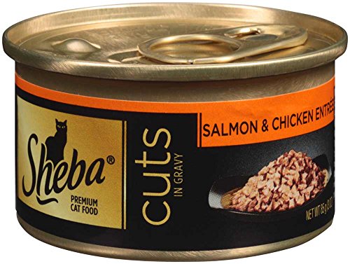 SHEBA Cuts in Gravy Salmon and Chicken Entree Canned Cat Food 3 Ounces (Pack of 24)