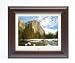 Invion DPF-8P106-IUS 8-Inch Digital Photo Picture Frame