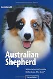 Australian Shepherd: Schön, charmant und vielseitig