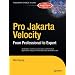 Pro Jakarta Velocity: From Professional to Expert