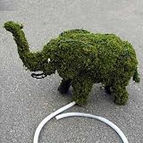 Eigenschaften tropical-world  / Wasserspeier Elefant Draht-Figur mit Moos & Teichpumpe
