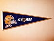 Tampa Bay Storm - AFL Football Traditions Pennants (Pennants)