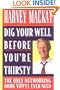 Dig Your Well Before You're Thirsty: The Only Networking Book You'll Ever Need