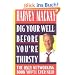Dig Your Well before You're Thirsty: The only networking book you'll ever need