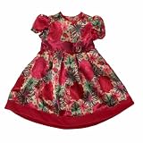 Dresses Online Shop Ranking 25. Dizzy Daisy Girls Party Dresses Dress for 3 - 4 Years (Plum/ Aop)