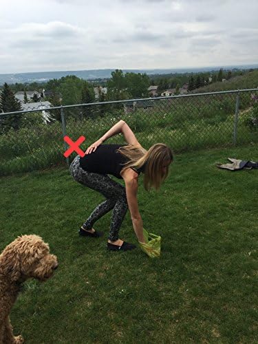 Best Pooper Scooper for Dogs both Small & Large - Dadson Pooper Scooper Is Clean and Convenient! Telescopic Aluminum Shaft for Ease of Use When Removing Pet Waste (Poop Bag Compatible Too!)