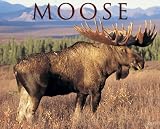 Moose 2009 Calendar